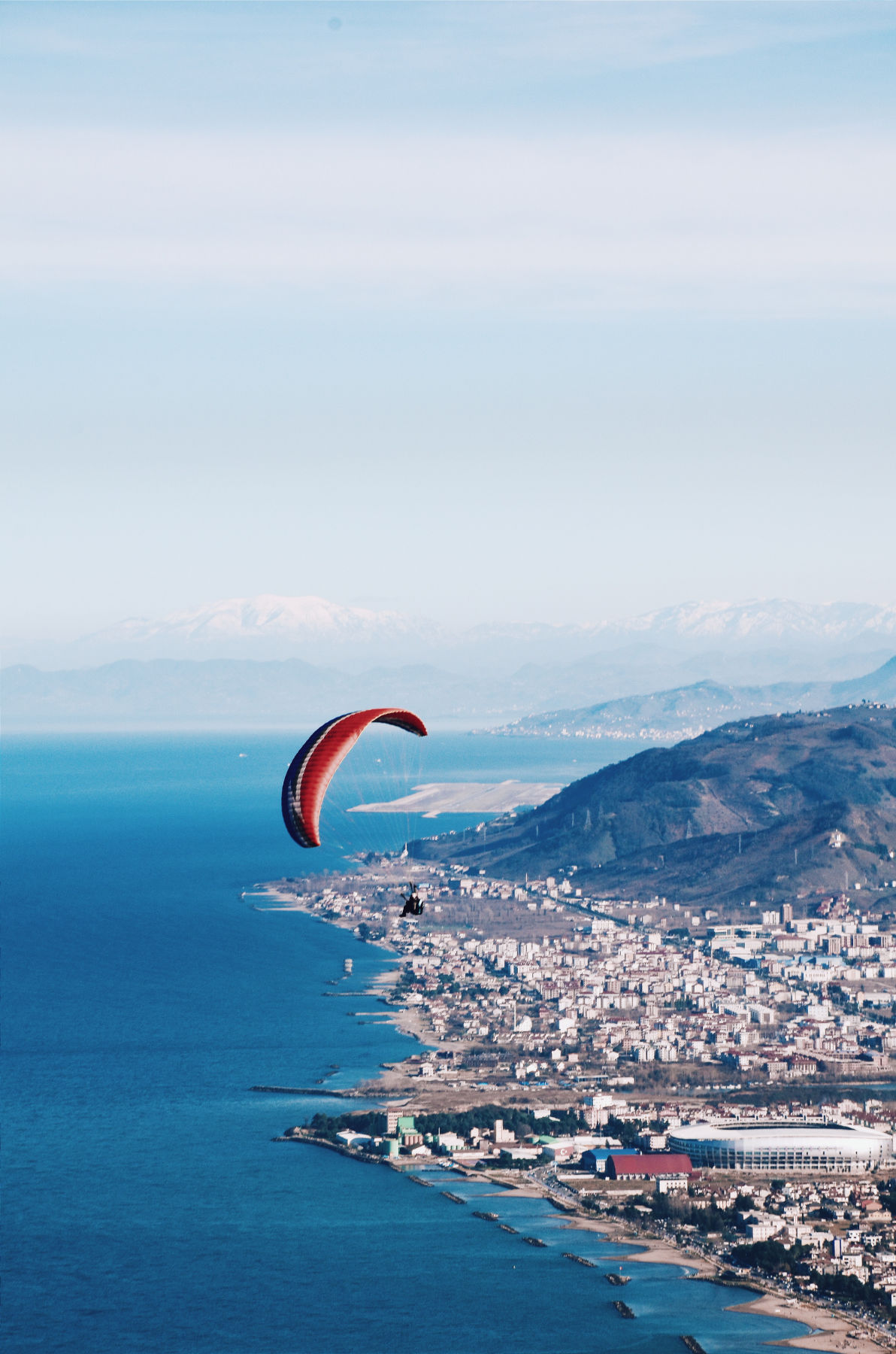 Le Radici del Cielo